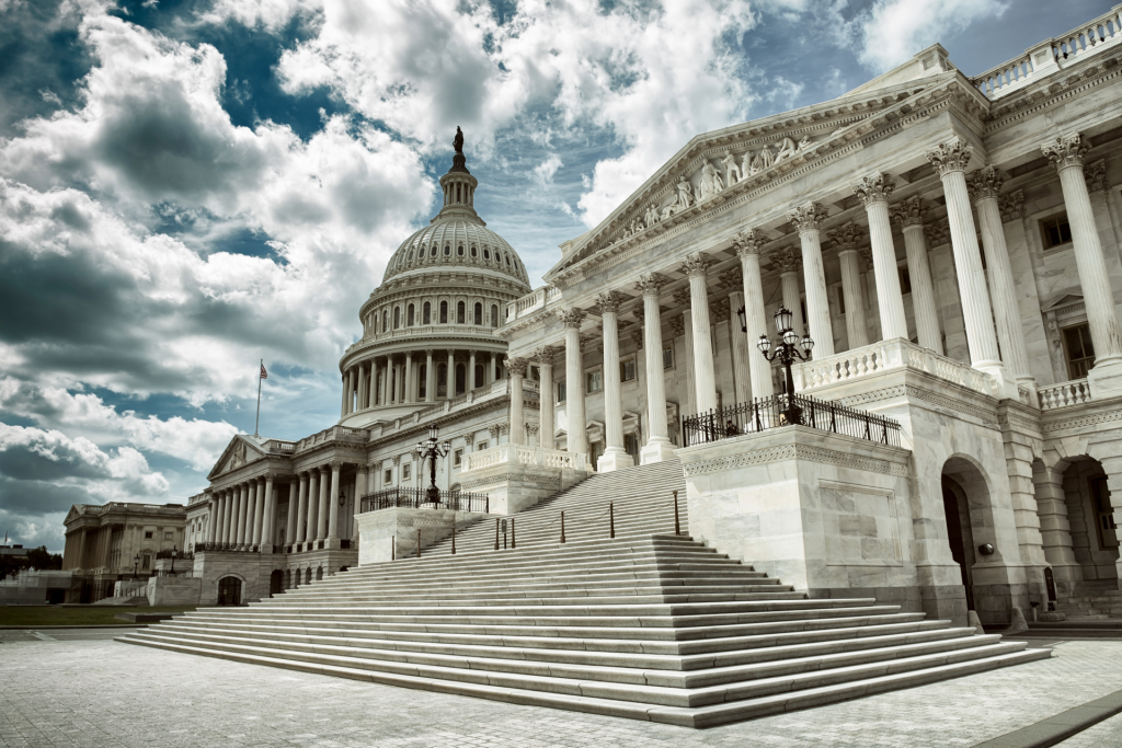 Government Partners